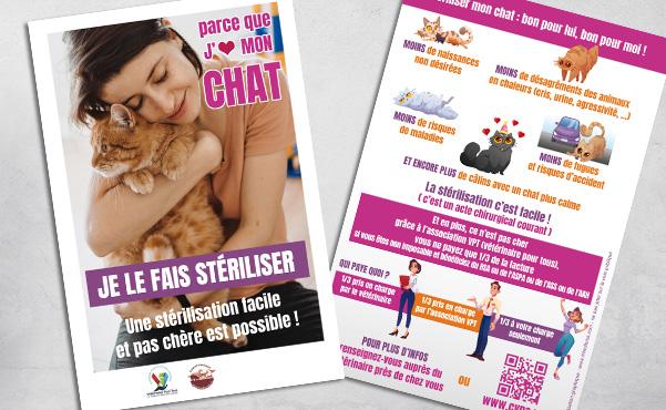 création flyer communication "stérilisez votre chat" 